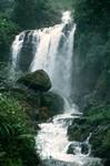 Waterfall, On Way To Nuwara Eliya, Ceylon