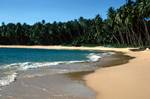 Empty Beach, South of Galle, Ceylon