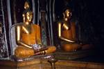 2 Golden Buddhas, Kelanya