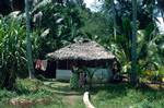 House in Forest, North to Negombo, Ceylon