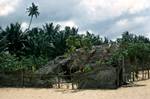 Coastal Hut, Negombo, Ceylon