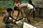 Men Sawing Wood, On Way to Ratnapura, Ceylon