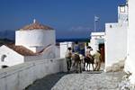 Lindos, Dess on Donkey, Small Tower, Rhodes, Greece