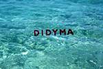 Title Slide - Didyma