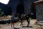 Boy with Donkey in Courtyard, ??ren (Site of Keramos), Turkey