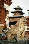 Darbar Square - Temples & Animal, Katmandu, Nepal