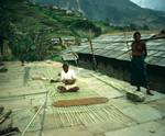 Courtyard, Man Weaving Bamboo, Ghandrung, Nepal