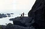 Rocky Coast, Nusfjord, Norway, Lofoten Islands