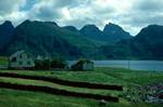 Hay Field, Old Thatched Roof, Fredvang, Norway, Lofoten Islands