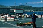 Flower Seller, Pictures, Bodo, Norway