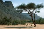 Hills & Tree, Arak, Algeria