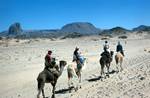 4 Riders, Camel Trek, Algeria