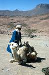 Driver, Camel & Goatskin, The Source, Algeria