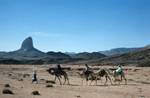 4 Camels & Peak, Camel Trek, Algeria