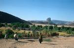 Fertile Oasis, Camel Trek, Algeria