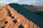 Footprints on Dune, Mount Telertheba Camp, Algeria