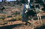 Loading Donkey, Tamrit, Algeria