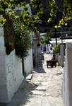 Street - Looking to Cine Anna, Skyros, Greece