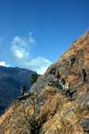 Path, Lower Langtang, Nepal
