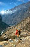 Looking Down Valley, Porter, Lower Langtang, Nepal