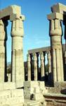 Temple Columns, Luxor, Egypt