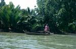 Mangrove Swamp, Man in Boat, From Boat, Thailand