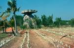 Pineapples Growing & Ancient Rock Temple, Ancient City, Thailand