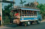 Bright Bus with Pigs in Baskets, On Road, Thailand