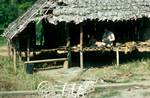 Hill Tribe House, North of Chiengmai, Thailand