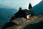 Road & House, Palmajua, Eastern Himalayas