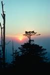 Morning Sun, Sakargham, Eastern Himalayas