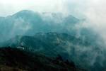 Mist on Ridge, Sandakphu, Eastern Himalayas