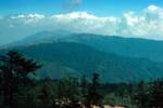 Woods, Ridge & K, Sandakphu, Eastern Himalayas