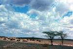 Village Huts, Near North Horr, Kenya