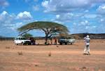 Lunch Stop Under Tree, Near North Horr, Kenya