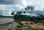 Palm, Hill, River, Marsabit to Meru, Kenya