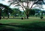Lawn & Trees, Lake Naivasha, Kenya
