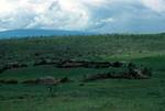 Deserted Masai Village, Near Ngorongoro, Tanzania
