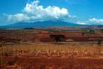 Colourful Landscape, Leaving Ngorongoro, Tanzania