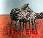 East Africa - The End