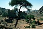 Tree & House, Lunch Stop, Between Taiz & Mocha, North Yemen