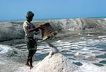 Salt Pans, Man Emptying Salt, North of Mocha, North Yemen
