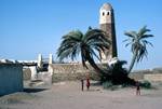 Minaret & Palms, Red Sea Coast, North Yemen