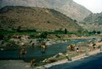 Mountain Road, Camels Crossing River, Between Hodeidah & Manakha, North Yemen