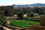 From City Wall - Houses & Green Garden, Sadah, North Yemen