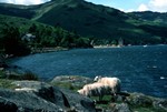 Loch Goil, Argyll and Bute, Scotland
