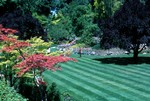Lawn & Red Maple, Butchart Gardens, Canada