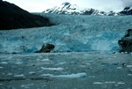 Riggs Glacier, Glacier Bay, Alaska, USA
