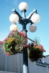 Lamp Post & Flowers, Victoria, Canada