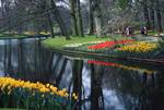 River, Daffodils, etc., Keukenhof, Netherlands